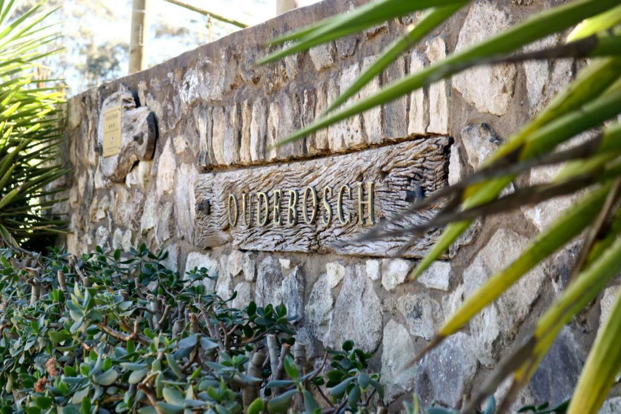 הוילה ריברסדייל Oudebosch Guest Farm מראה חיצוני תמונה